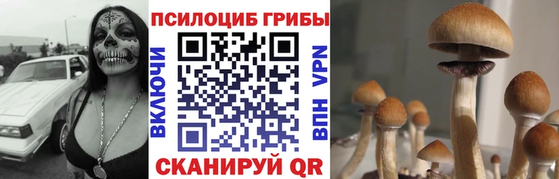 Галлюциногенные грибы мухоморы  кракен как зайти  Кушва 